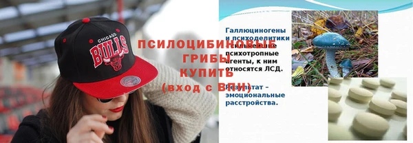 амф Нестеровская