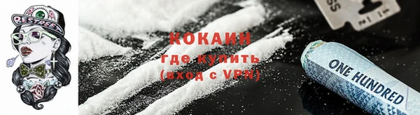 кокс Ессентукская