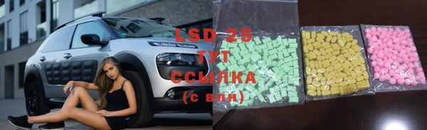 хмурый Калининец