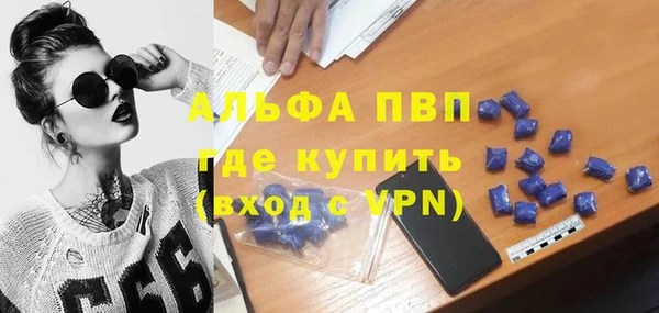 кокс Ессентукская
