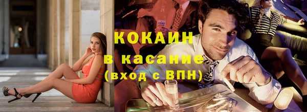 кокс Ессентукская