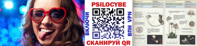 Галлюциногенные грибы мухоморы  blacksprut рабочий сайт  Новокузнецк 