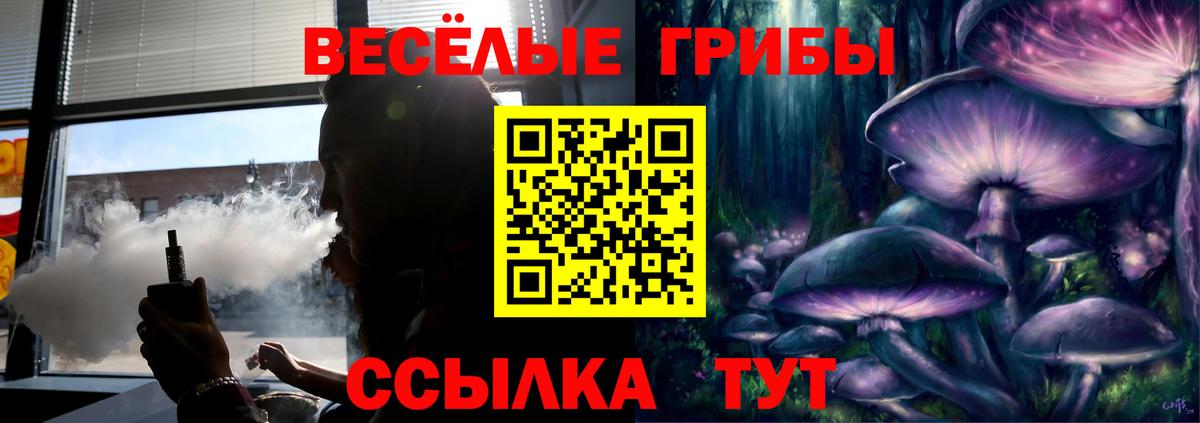 Галлюциногенные грибы мицелий Россия